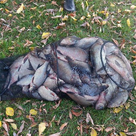 Гостинний Двір На Хуторі Хрещатик Kültér fotó